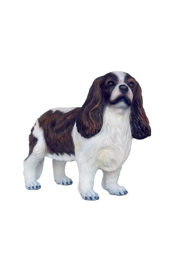 CAVALIER KING CHARLES SPANIEL DOG 1