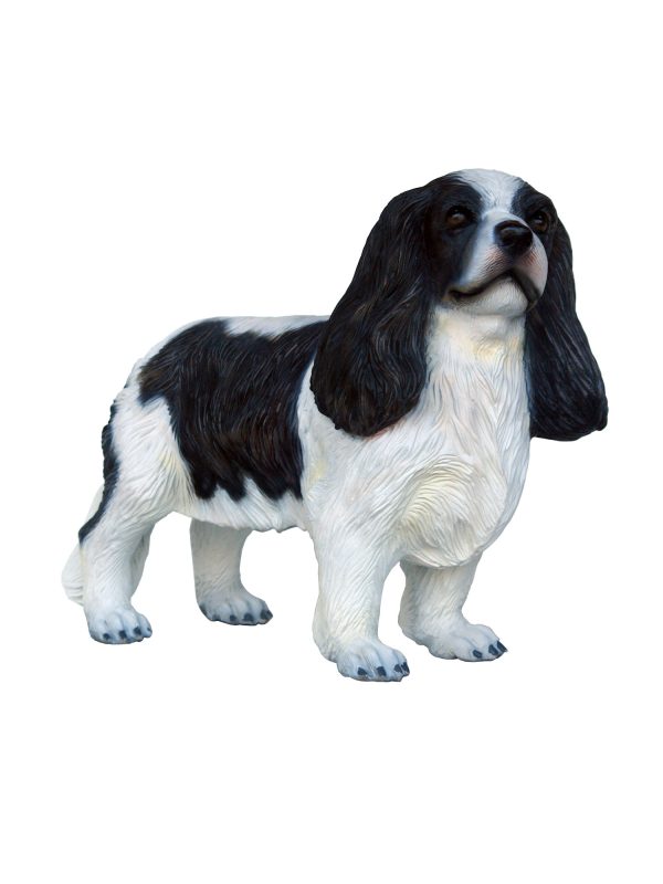 CAVALIER KING CHARLES SPANIEL DOG 2