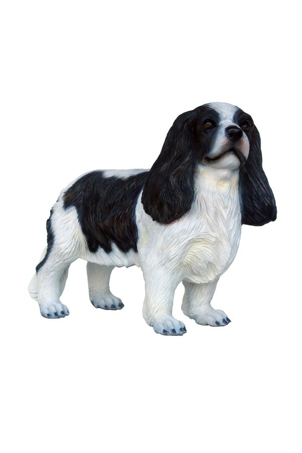 CAVALIER KING CHARLES SPANIEL DOG 2
