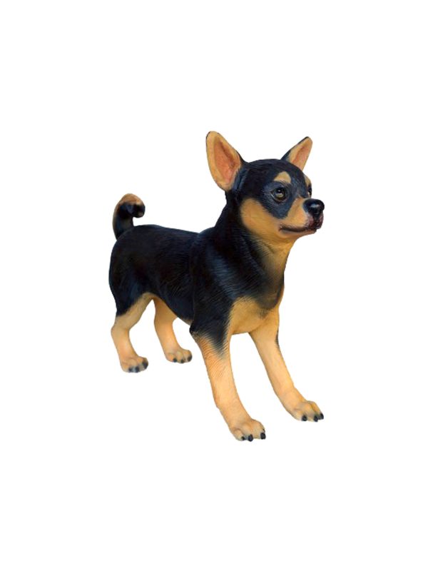 CHIHUAHUA DOG 2