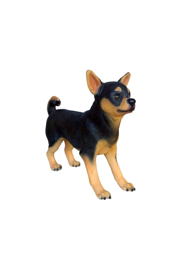 CHIHUAHUA DOG 2