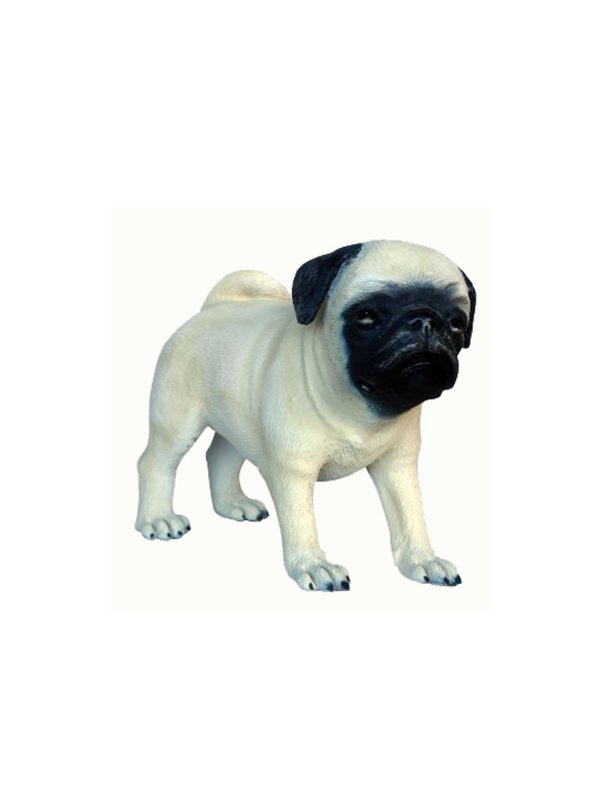 PUG DOG PUPPY 1
