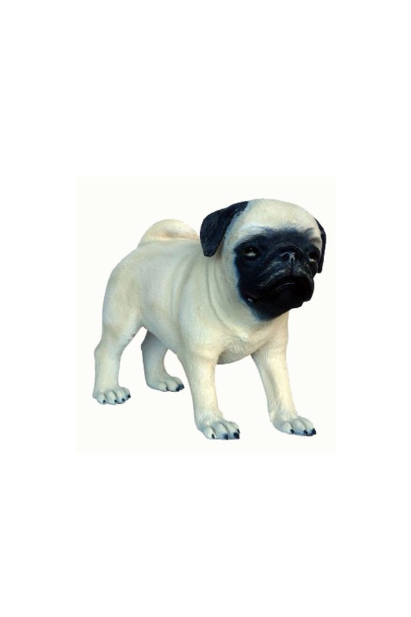 PUG DOG PUPPY 1