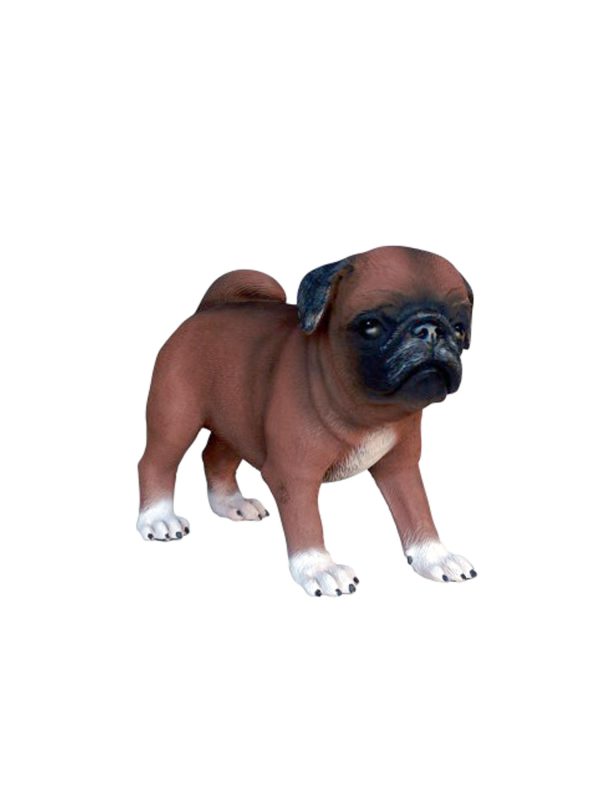 PUG DOG PUPPY 2