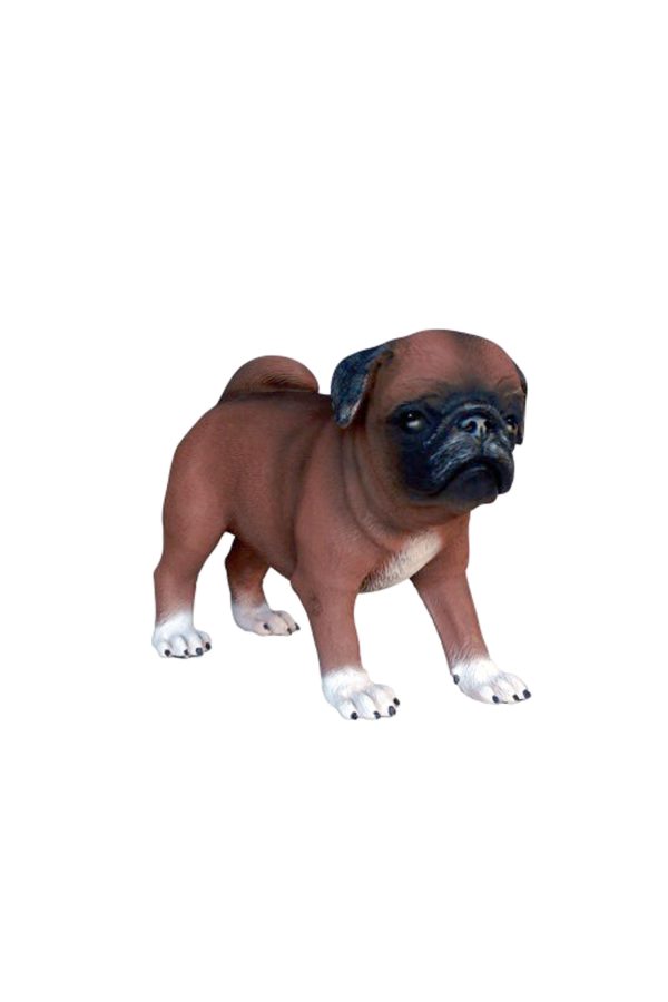 PUG DOG PUPPY 2