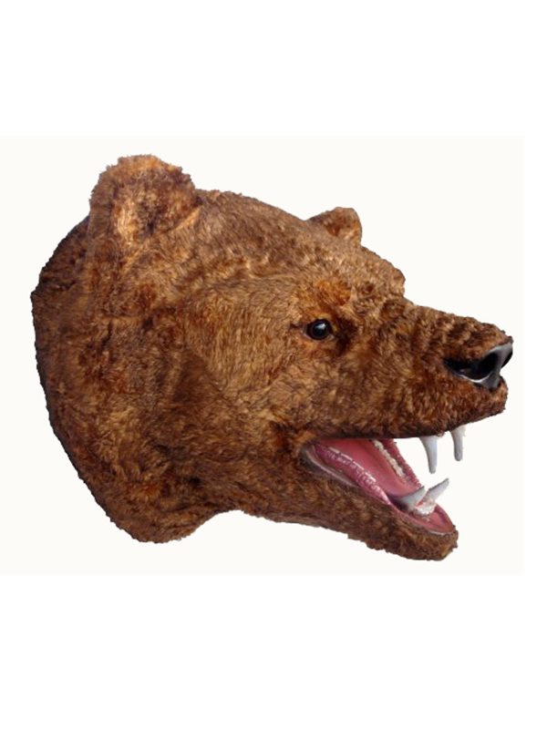 BEAR HEAD 2