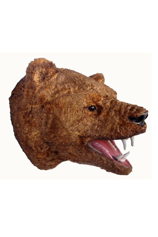 BEAR HEAD 2