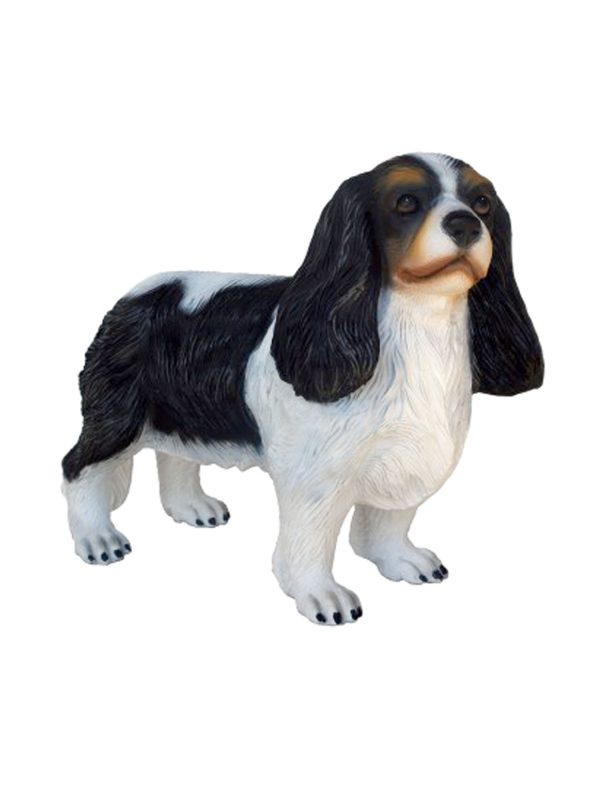 CAVALIER KING CHARLES SPANIEL DOG 3
