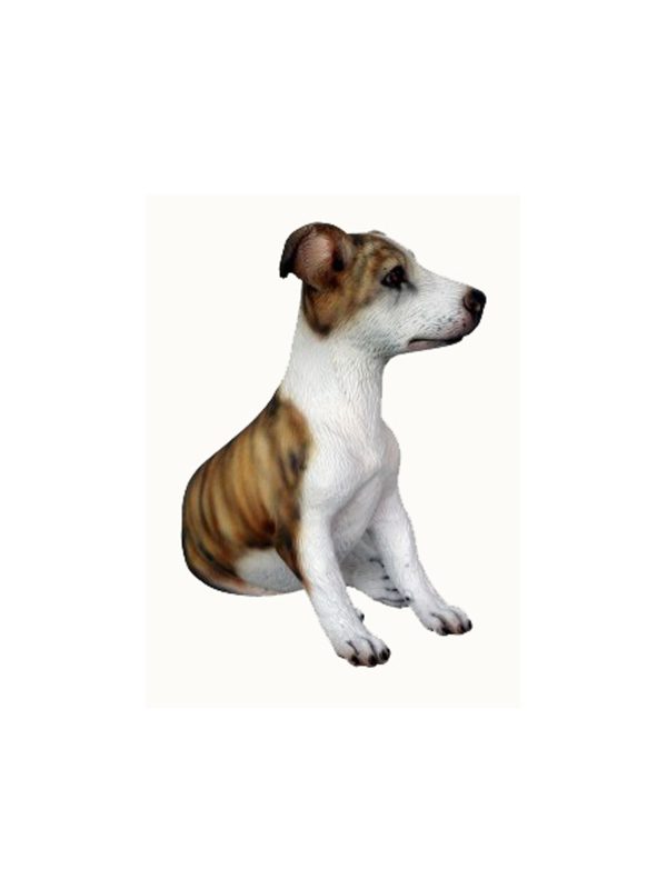 WHIPPET DOG PUPPY 1