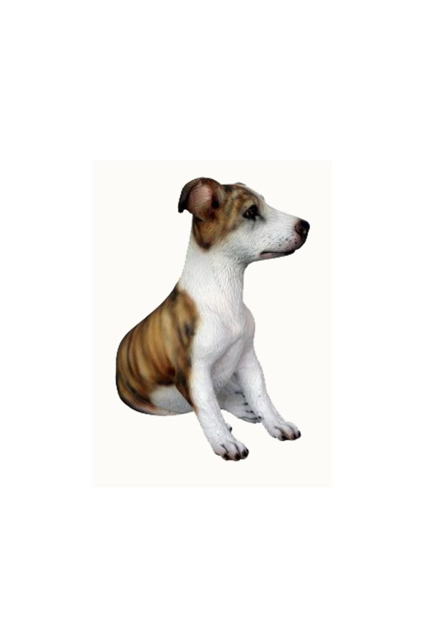 WHIPPET DOG PUPPY 1