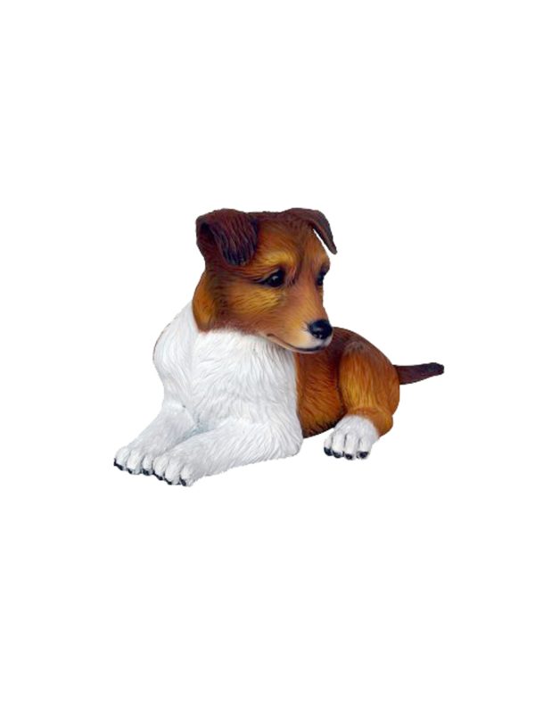SHETLAND SHEEP DOG PUPPY 1