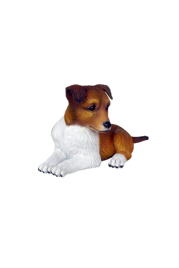 SHETLAND SHEEP DOG PUPPY 1