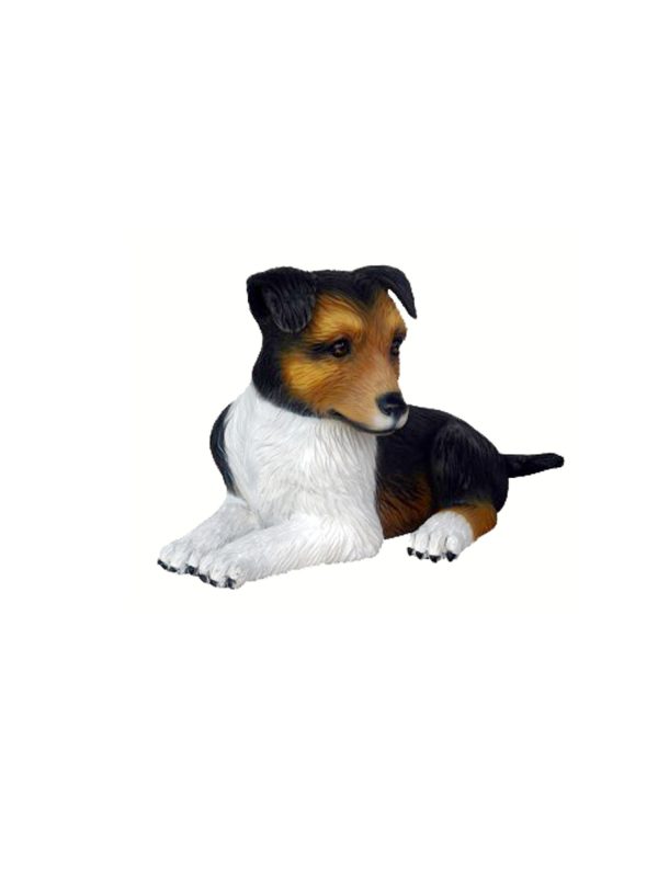 SHETLAND SHEEP DOG PUPPY 2