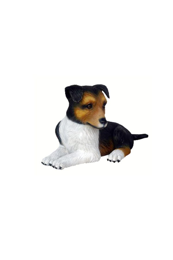 SHETLAND SHEEP DOG PUPPY 2