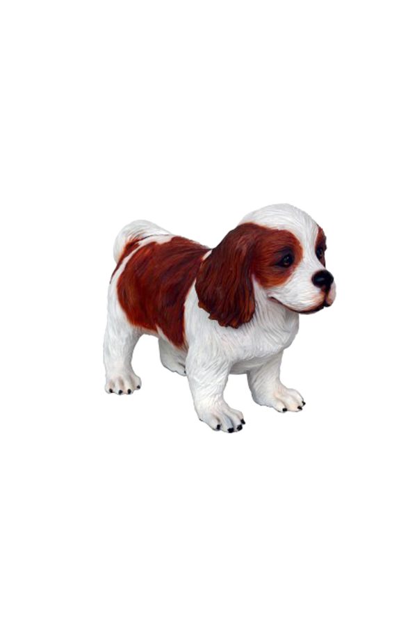 CAVALIER KING CHARLES SPANIEL DOG PUPPY 1