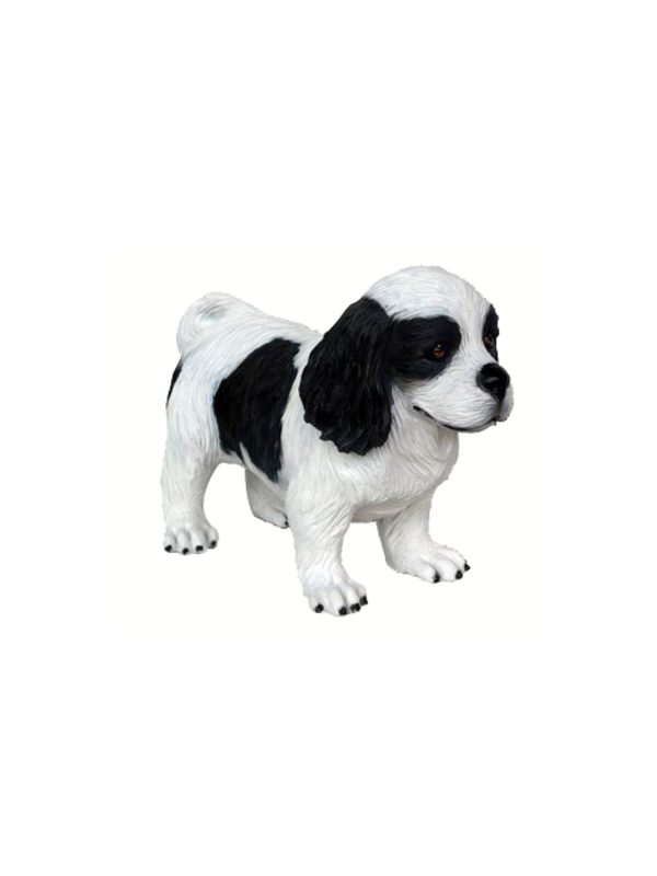 CAVALIER KING CHARLES SPANIEL DOG PUPPY 2