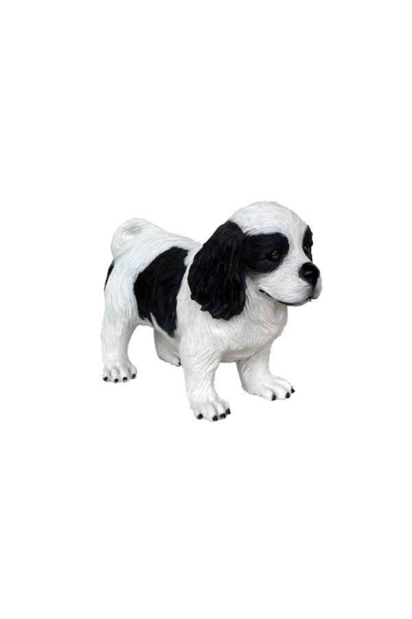 CAVALIER KING CHARLES SPANIEL DOG PUPPY 2