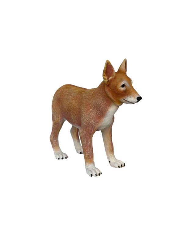 COYOTE PUPPY