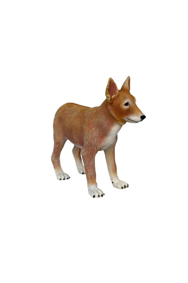 COYOTE PUPPY