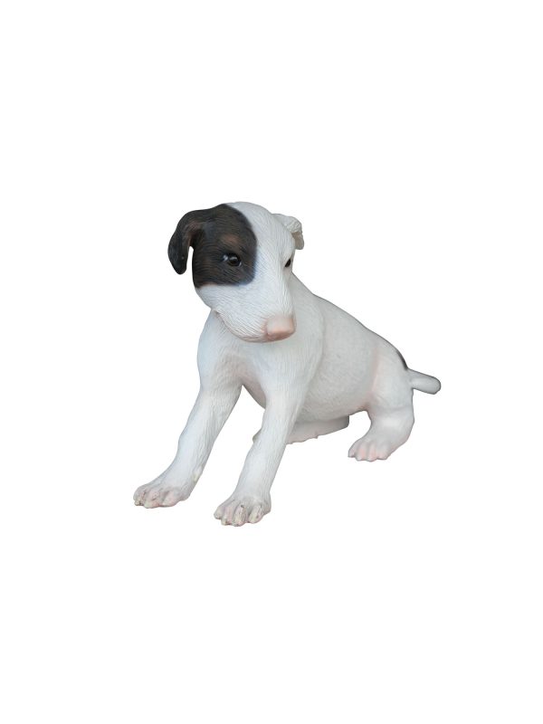 BULL TERRIER DOG PUPPY