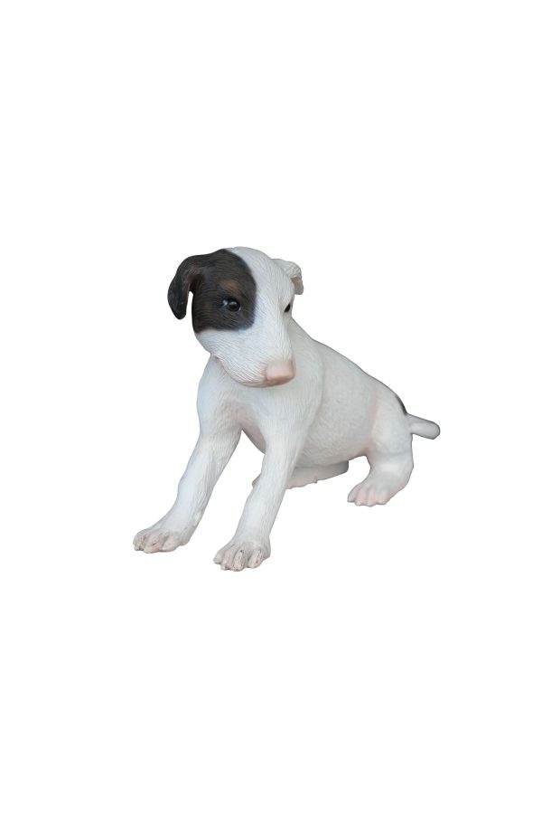 BULL TERRIER DOG PUPPY