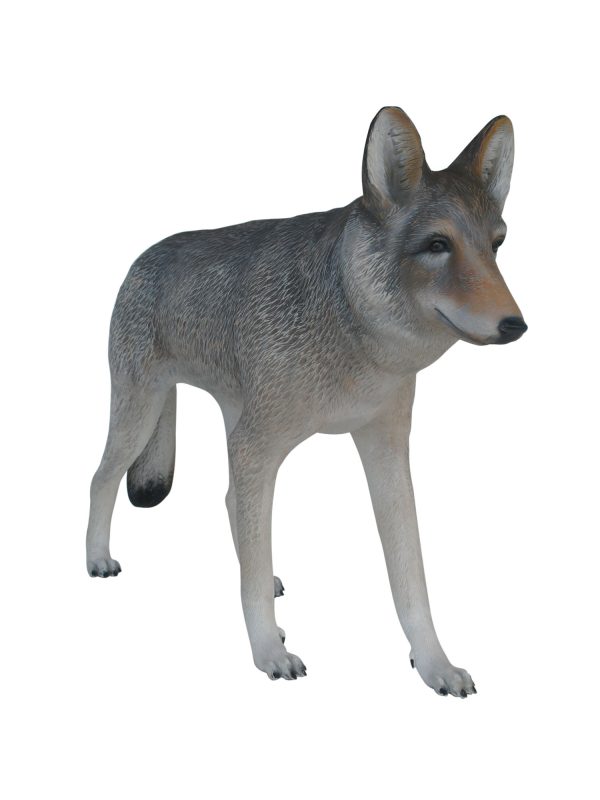 COYOTE 2