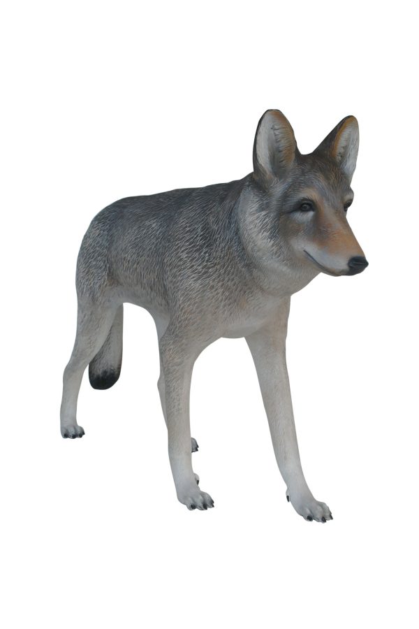 COYOTE 2