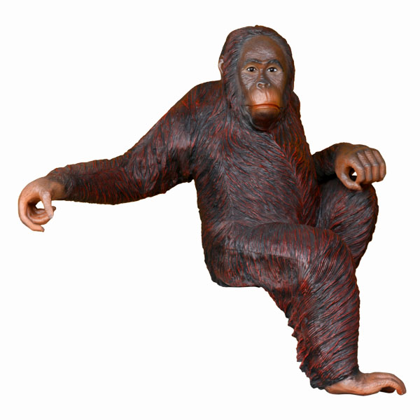 ORANGUTAN SITTING