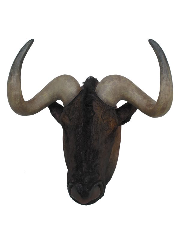 BLUE WILDABEEST HEAD WALL DECOR
