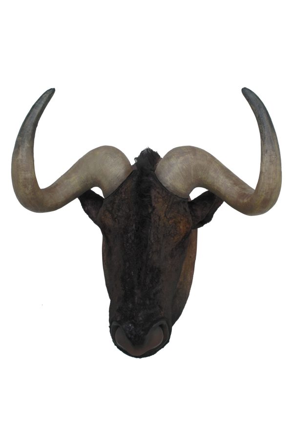 BLUE WILDABEEST HEAD WALL DECOR