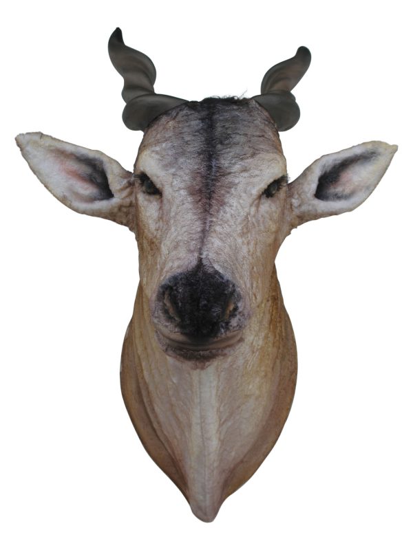ELAND ORYX HEAD WALL DECOR