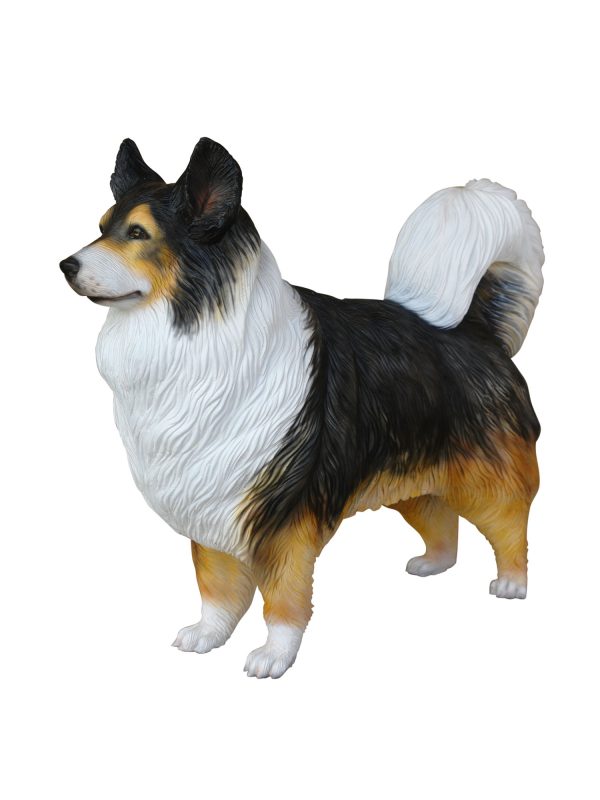 AUSTRALIAN SHEPHERD DOG 1