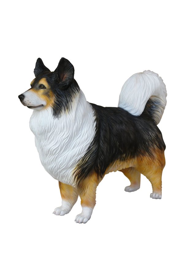 AUSTRALIAN SHEPHERD DOG 1