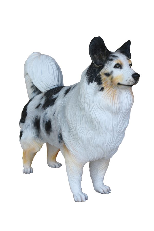AUSTRALIAN SHEPHERD DOG 2