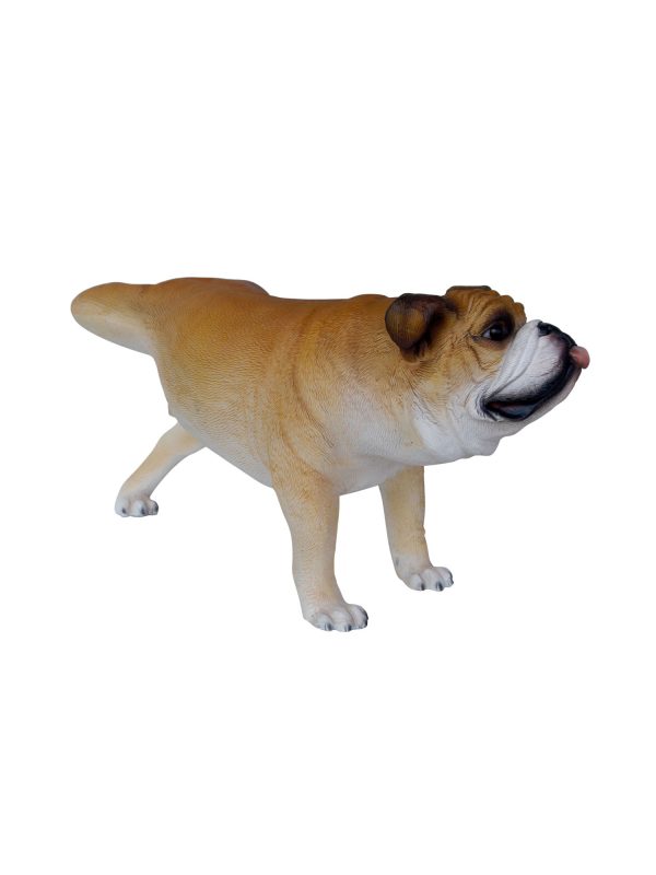 BULLDOG TIMEOUT
