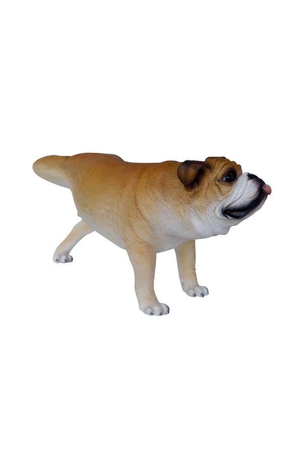 BULLDOG TIMEOUT