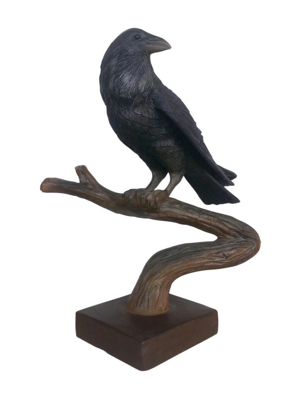 RAVEN (LOOKING BACK)