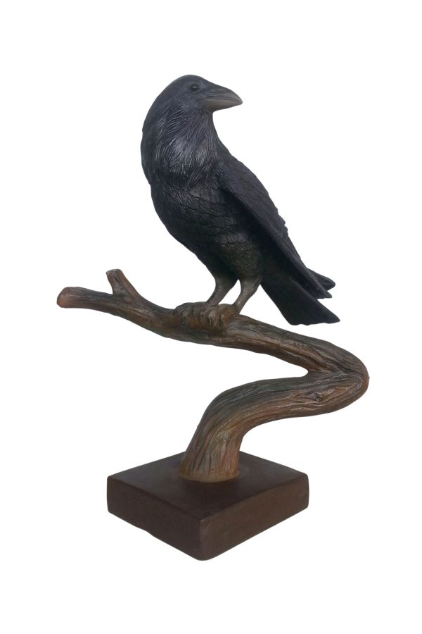 RAVEN (LOOKING BACK)