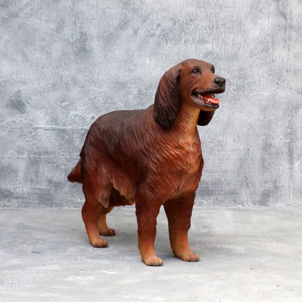 IRISH SETTER DOG