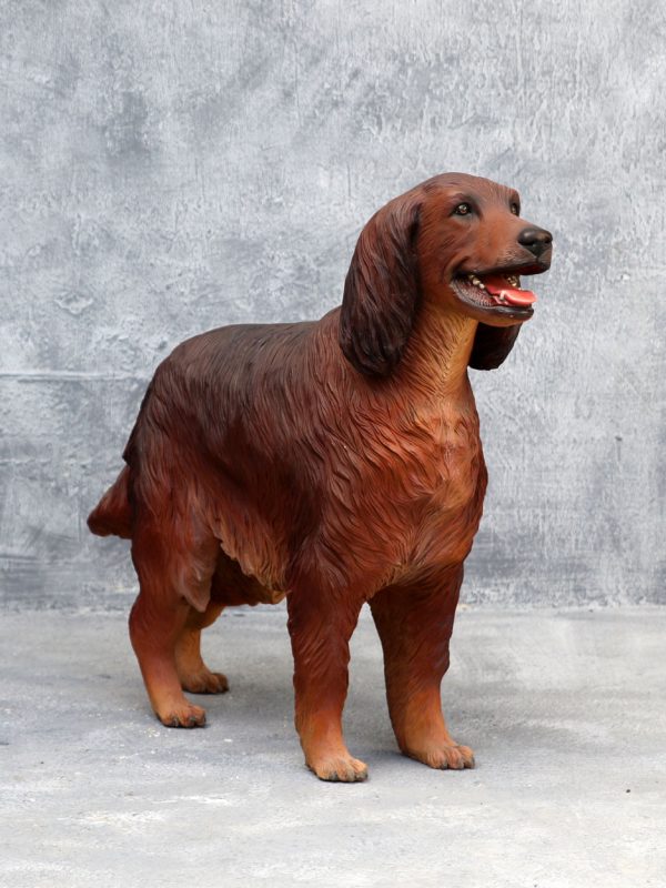 IRISH SETTER DOG
