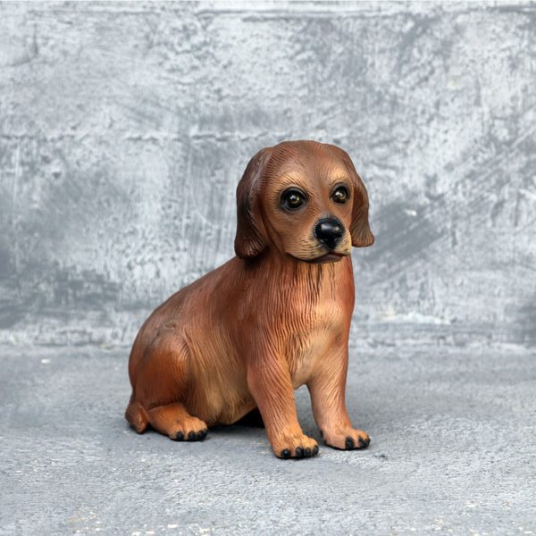 IRISH SETTER DOG PUPPY