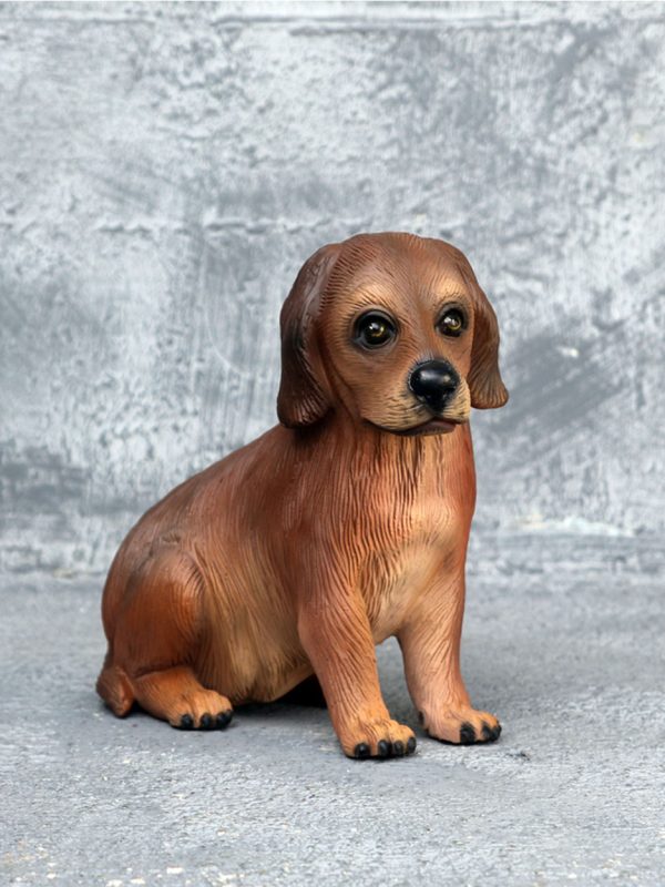 IRISH SETTER DOG PUPPY