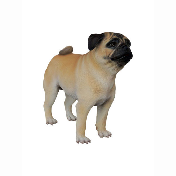 PUG DOG