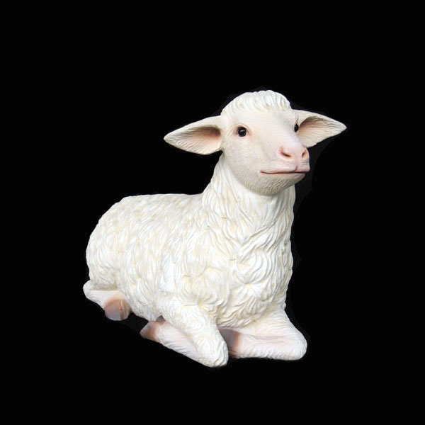MERINO LAMB LYING