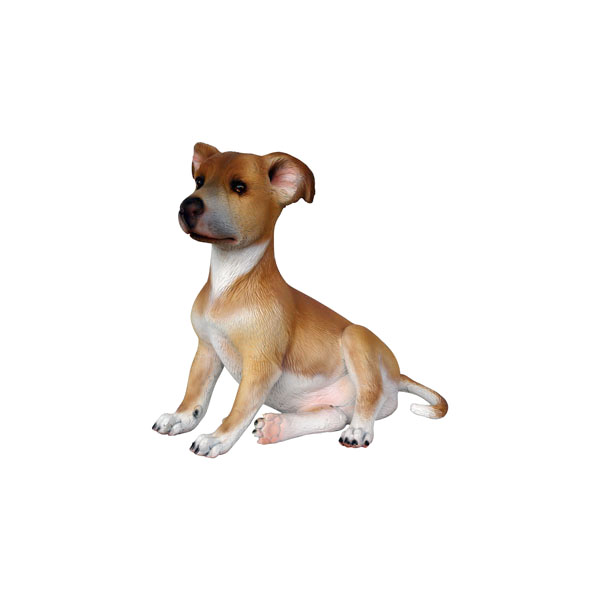 WHIPPET DOG PUPPY 2
