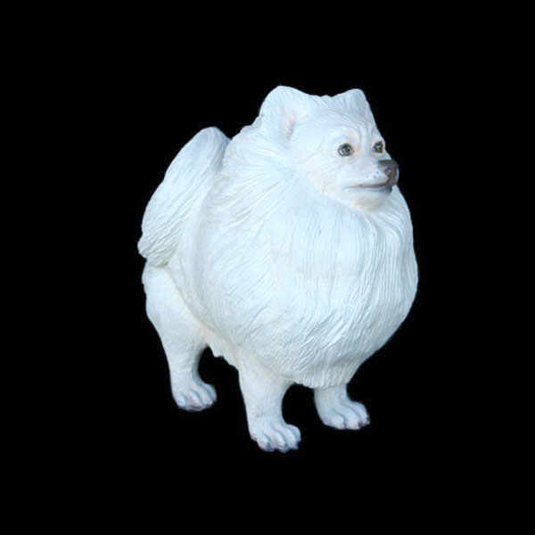 POMERANIAN DOG 2