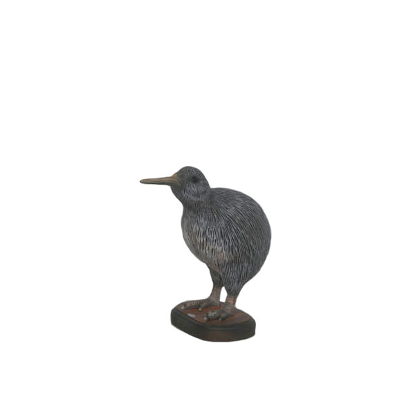 YOUNG KIWI HEAD-UP