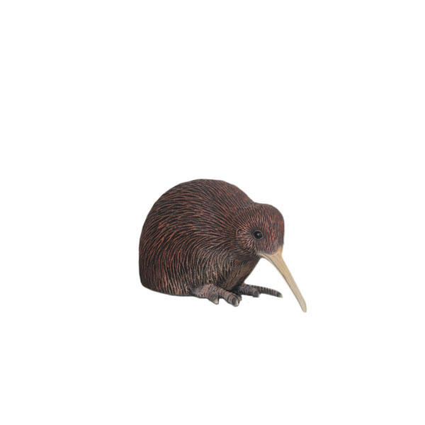 YOUNG KIWI HEAD-DOWN