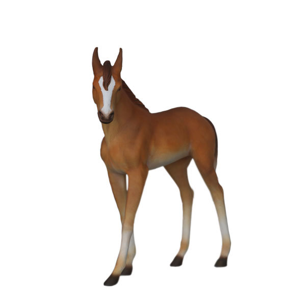 BABY FOAL (NEW)