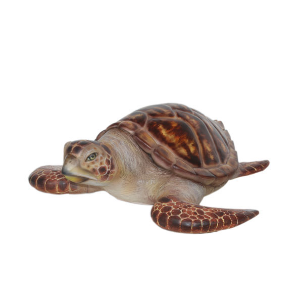 HAWKSBILL SEA TURTLE
